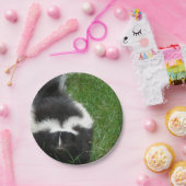 Assiettes En Carton skunk-2 (Fête)