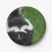 Assiettes En Carton skunk-2 (Devant)