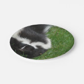 Assiettes En Carton skunk-2 (Angle)