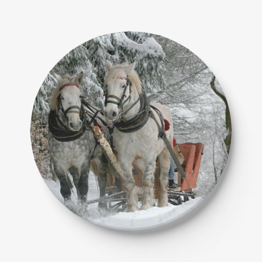 Assiettes En Carton Sleigh Ride in Winter Wonderland (Devant)