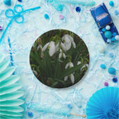 Assiettes En Carton Snowdrops I (Fête)