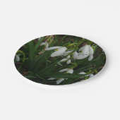 Assiettes En Carton Snowdrops I (Angle)