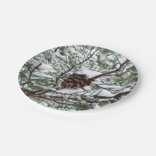 Assiettes En Carton Snowy Pine Cône II hiver Photographie de la nature (Angle)