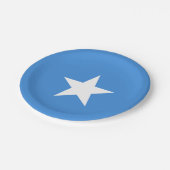 Assiettes En Carton Somalia Flag (Angle)