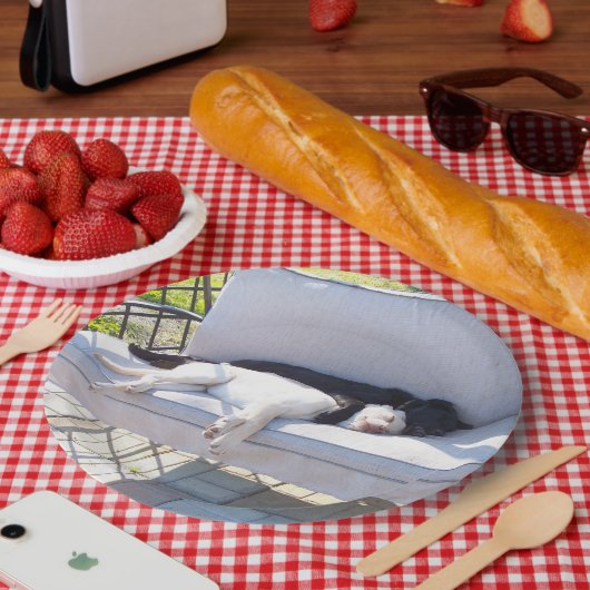 Assiettes En Carton sommeil du groupe de laboratoires (Pique-nique)