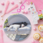 Assiettes En Carton sommeil du groupe de laboratoires (Fête)