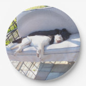 Assiettes En Carton sommeil du groupe de laboratoires (Devant)