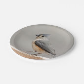 Assiettes En Carton Souris de tirelire (Angle)