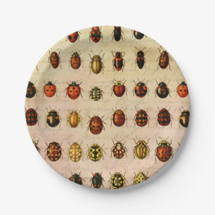 Assiettes En Carton Spécimen de coccinelle vintage Motif Insecte antiq