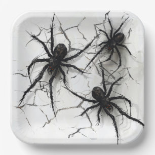 Assiettes en carton Spider Série 4-6