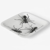 Assiettes en carton Spider Série 4-8 (Angulaire)
