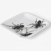 Assiettes en carton Spider Série 4-9 (Angulaire)