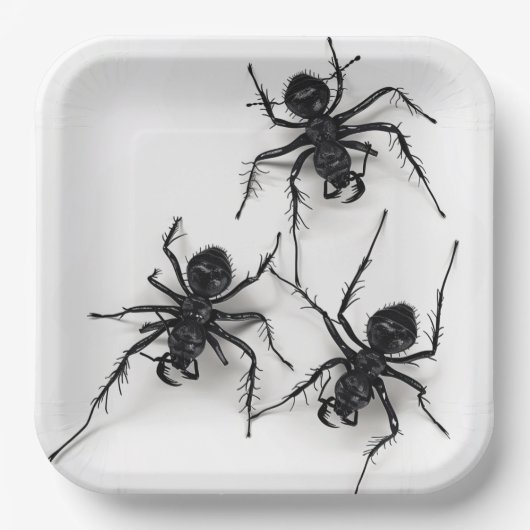 Assiettes en carton Spider Série 4-9 (Recto)