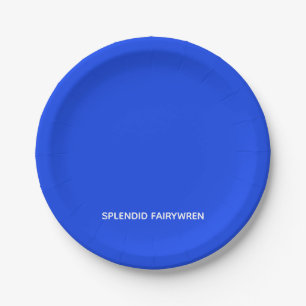 Assiettes En Carton Splendid Fairywren Blue Colour