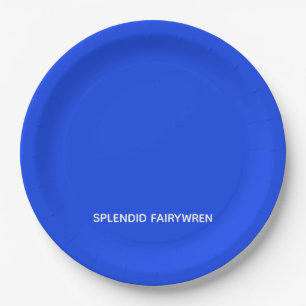 Assiettes En Carton Splendid Fairywren Blue Colour