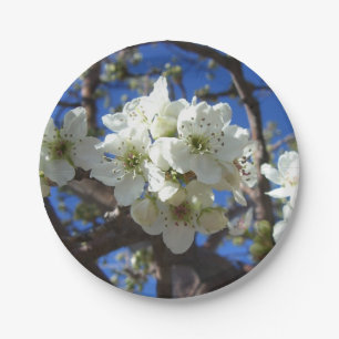 Assiettes En Carton Spring Flowering Pear Tree