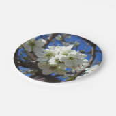 Assiettes En Carton Spring Flowering Pear Tree (Angle)