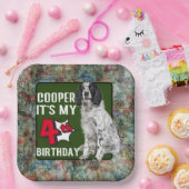 Assiettes En Carton Springer Spaniel Soirée personnalisée de 4e annive (Fête)