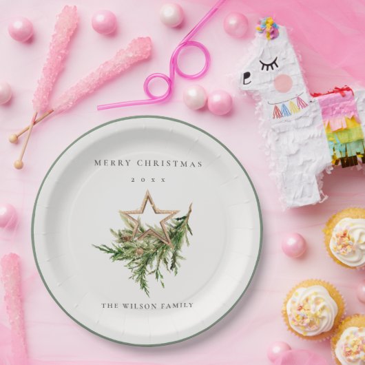 Assiettes En Carton Star Orament Pine Branch Faune Joyeux Noël (Fête)