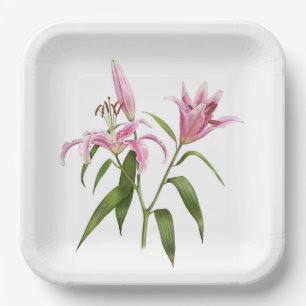 Assiettes En Carton Stargazer rose Lily orientale Art botanique 
