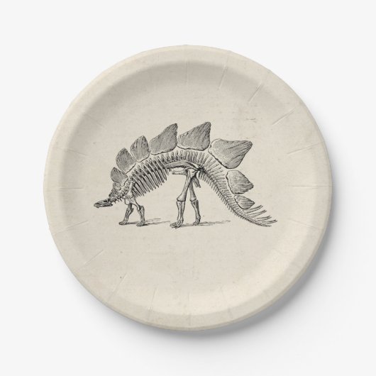 Assiettes En Carton Stegosaurus Dinosaure Squelette Fossile (Devant)