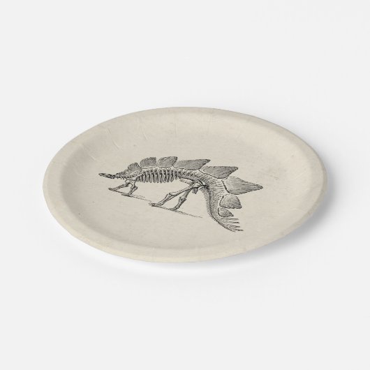 Assiettes En Carton Stegosaurus Dinosaure Squelette Fossile (Angle)