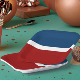 Assiettes En Carton Style de bloc de couleur bleu blanc