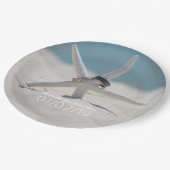 Assiettes En Carton Suite de mariage plage (Angle)