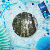 Assiettes En Carton Sunlight Through Pine Trees (Fête)