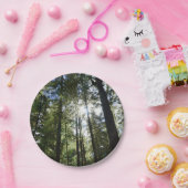 Assiettes En Carton Sunlight Through Pine Trees (Fête)