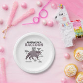 Assiettes En Carton Sweet Raccoon Explication Anatomie D'Un Raccoon (Fête)