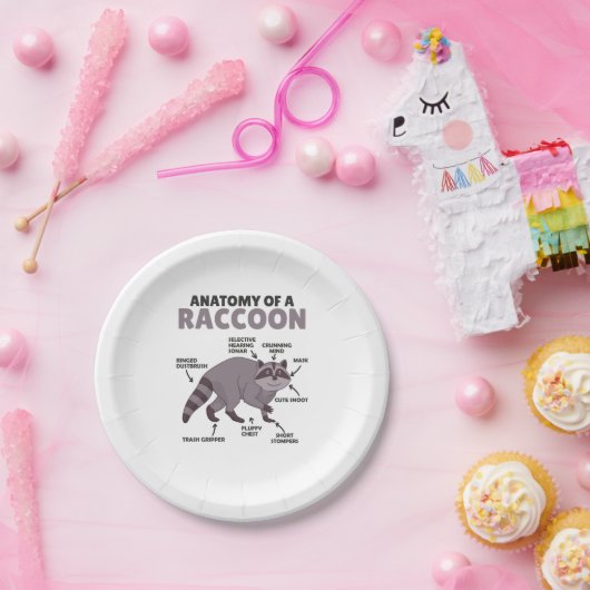 Assiettes En Carton Sweet Raccoon Explication Anatomie D'Un Raccoon (Fête)