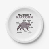 Assiettes En Carton Sweet Raccoon Explication Anatomie D'Un Raccoon (Devant)