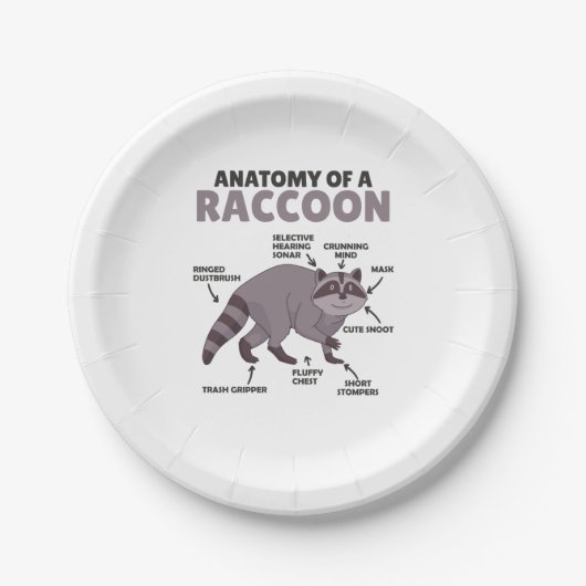 Assiettes En Carton Sweet Raccoon Explication Anatomie D'Un Raccoon (Devant)