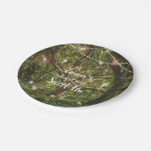 Assiettes En Carton Sweet sixteen Fées forestières enchantées (Angle)