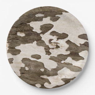 Assiettes En Carton Sycamore Tree Bark