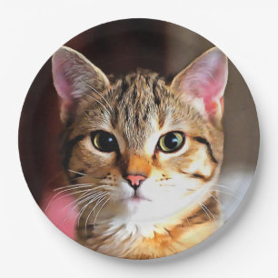 Assiettes En Carton Tabby Artistique Chat Kitten Portrait