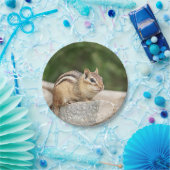 Assiettes En Carton Tamia sur une roche (Fête)