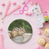 Assiettes En Carton Tamia sur une roche (Fête)