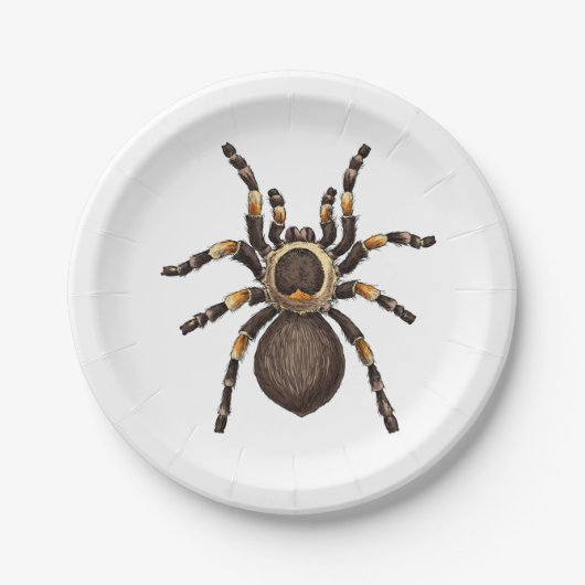 Assiettes En Carton Tarantula (Devant)