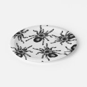 Assiettes En Carton Tarantula (Angle)