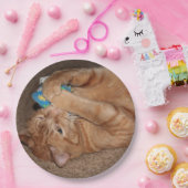 Assiettes En Carton Tater (Fête)