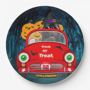 Assiettes En Carton Terre-Neuve Chien voiture effrayant Halloween
