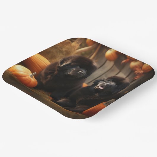 Assiettes En Carton Terre-Neuve Chiot Automne Citrouille de plaisir (Angulaire)