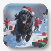 Assiettes En Carton Terre-Neuve coule en neige avec le Casquette de No (Recto)