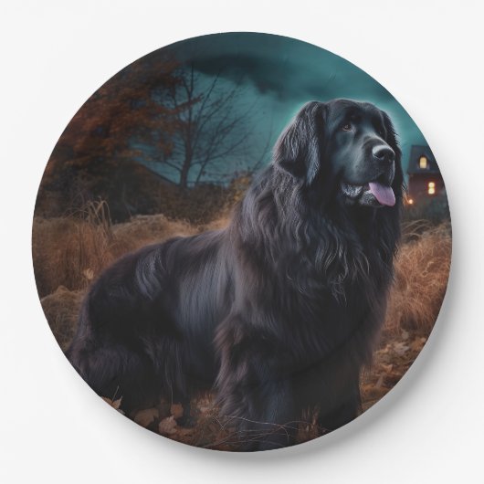 Assiettes En Carton Terre-Neuve Halloween (Devant)