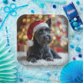 Assiettes En Carton Terrier écossais de Noël à la fourrure (Fête)