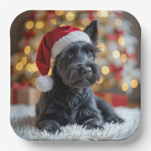 Assiettes En Carton Terrier écossais de Noël à la fourrure