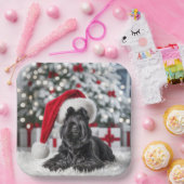 Assiettes En Carton Terrier écossais de Noël sur un tapis blanc (Fête)