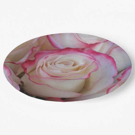 Assiettes En Carton Thamar (Angle)